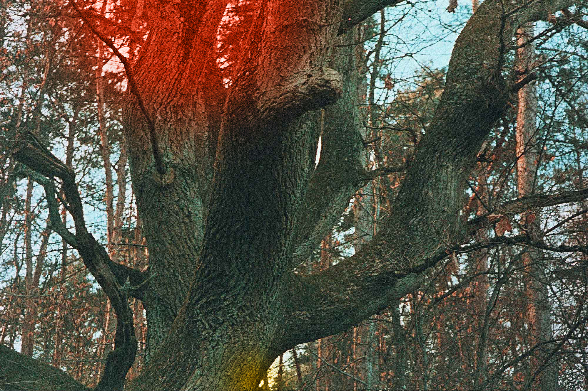 Vkl 2019 02 20 Leica CL 7Artisans Precisa cross (9a)